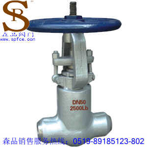 Z61Y型對焊式自緊密封閘閥、美標鍛鋼閘閥SPZ61Y